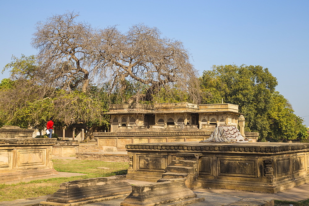 Ghaus Mohammed's Tomb, Gwalior, Madhya Pradesh, India, Asia