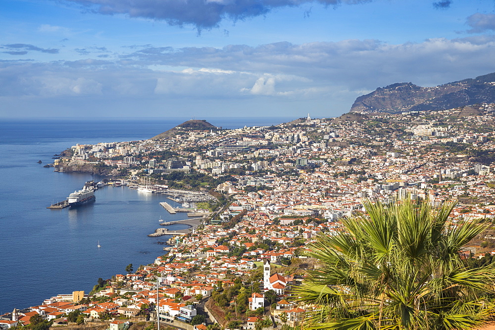 View looking towards Sao Goncalo Church and harbour, Funchal, Madeira, Portugal, Atlantic, Europe