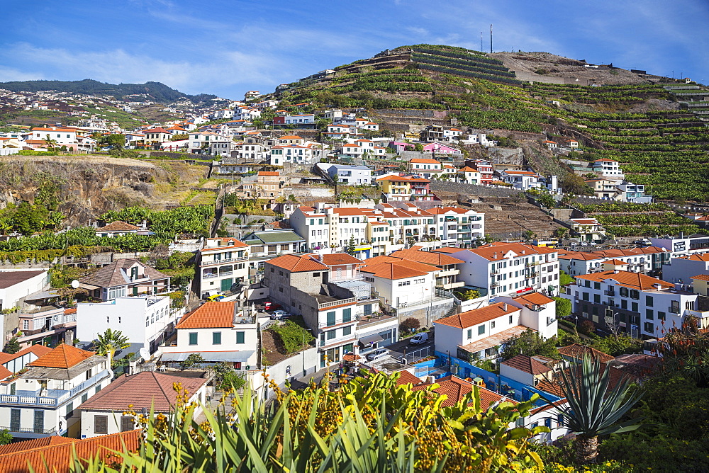 View of Camara de Lobos, Funchal, Madeira, Portugal, Atlantic, Europe