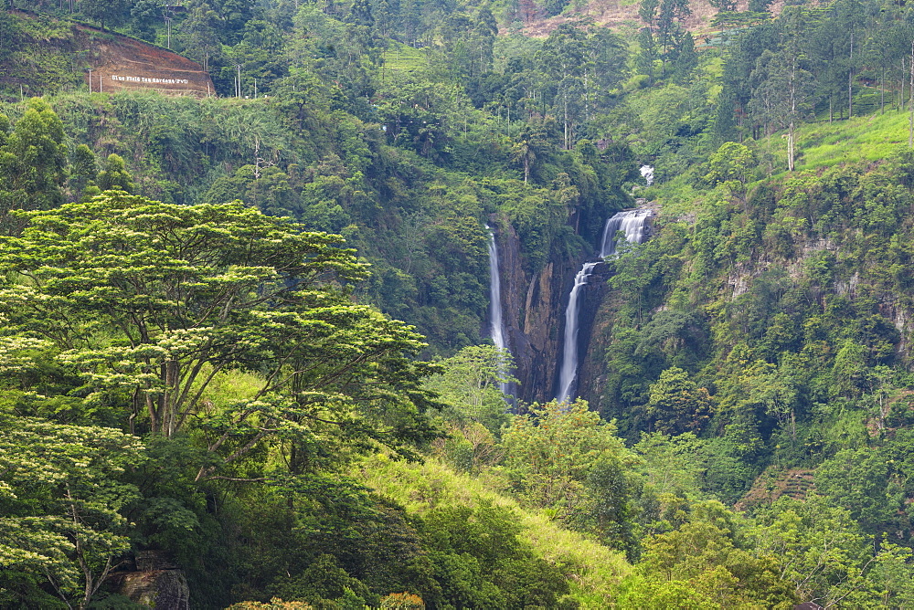 Ramboda Falls, Ramboda, Nuwara Eliya, Central Province, Sri Lanka, Asia