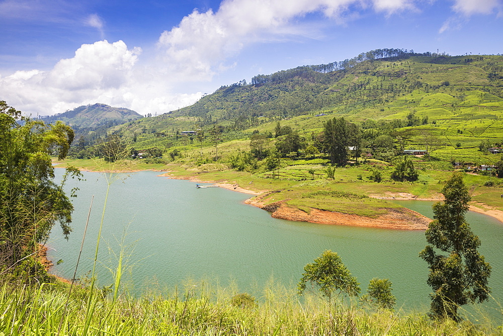 Castlereagh Lake, Hatton, Central Province, Sri Lanka, Asia