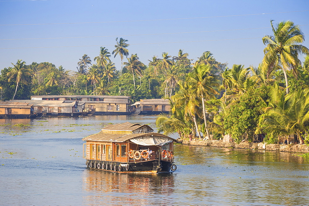 Houseboats on Backwaters, Alappuzha (Alleppey), Kerala, India, Asia