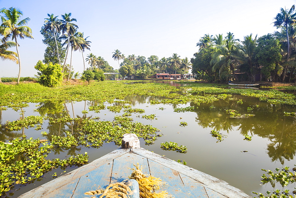 Backwaters, Alappuzha (Alleppey), Kerala, India, Asia