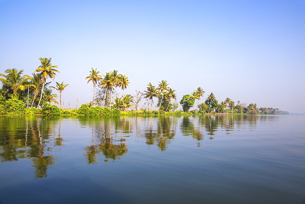 Backwaters, Alappuzha (Alleppey), Kerala, India, Asia