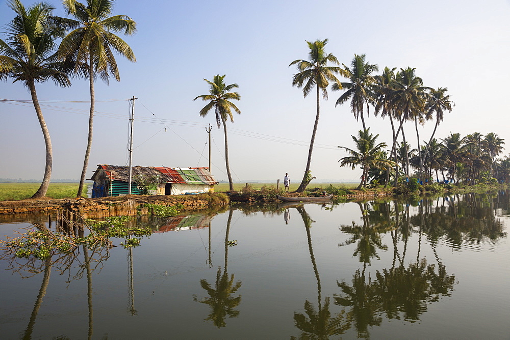 Backwaters, Alappuzha (Alleppey), Kerala, India, Asia