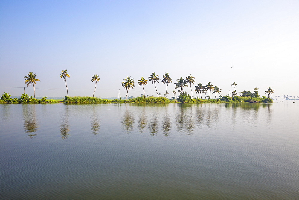 Backwaters, Alappuzha (Alleppey), Kerala, India, Asia