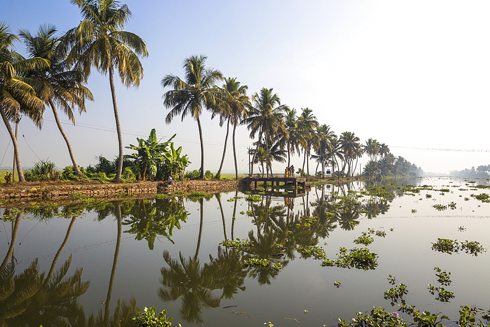 Public ferry shelter, Backwaters, Alappuzha (Alleppey), Kerala, India, Asia