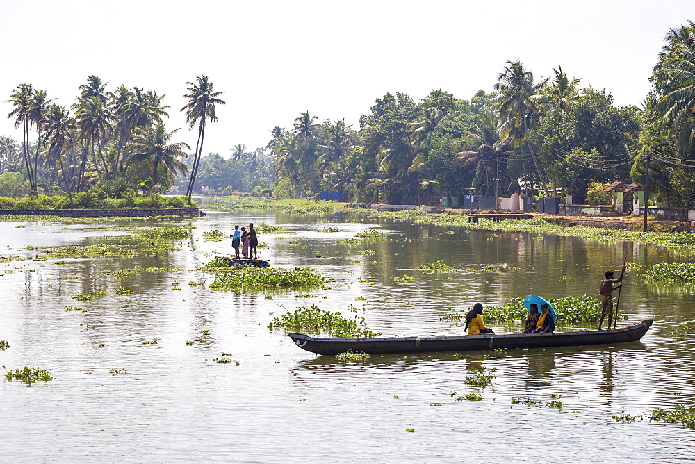 People crossing river in dug out canoe, Backwaters, Kollam, Kerala, India, Asia