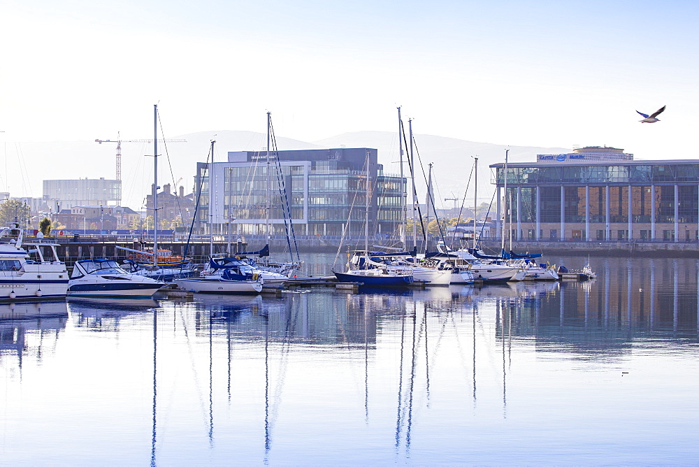 Belfast Harbour Marina, Belfast, Ulster, Northern Ireland, United Kingdom, Europe