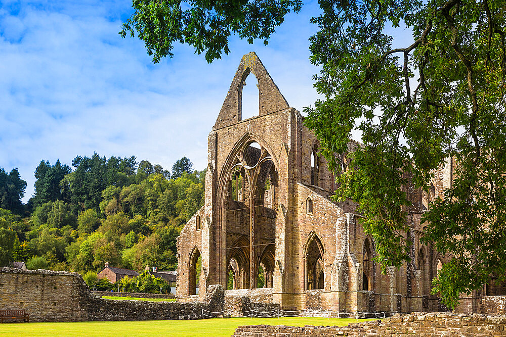 Tintern Abbey, Tintern, Wye Valley, Monmouthshire, Wales, United Kingdom, Europe