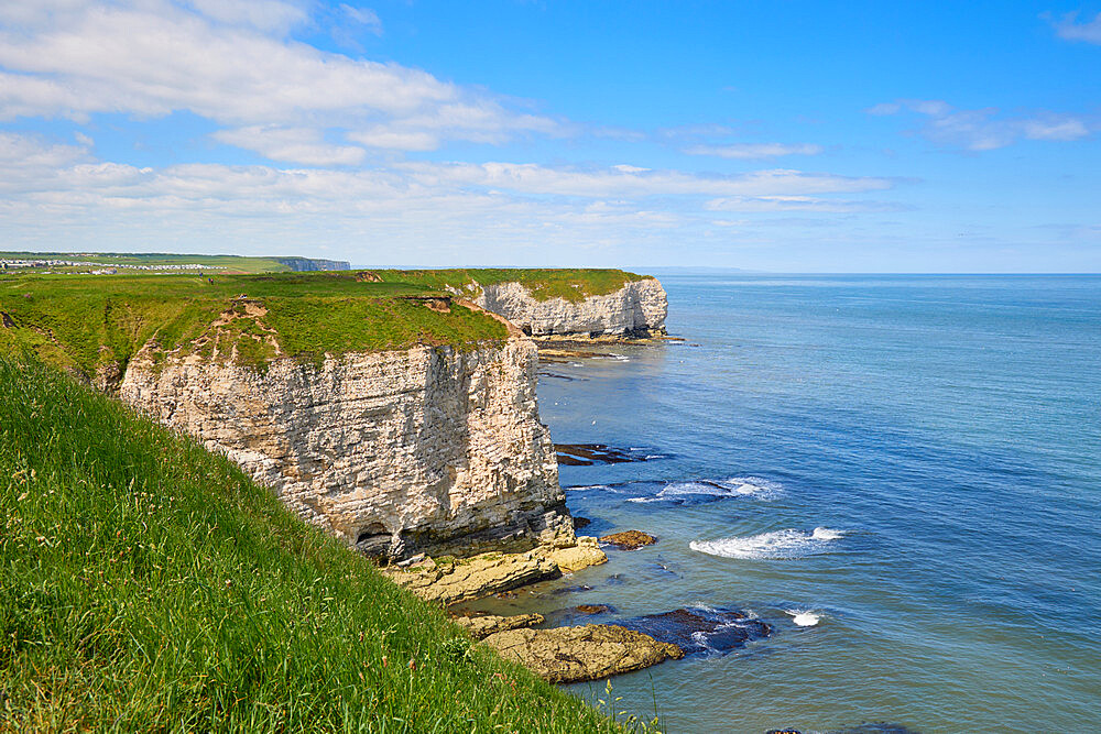 Flamborough Head, Yorkshire, England, United Kingdom, Europe