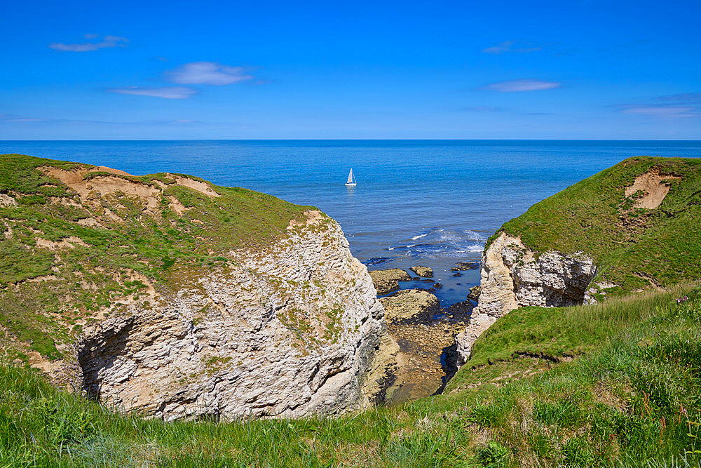 Flamborough Cliffs Nature Reserve, Yorkshire, England, United Kingdom, Europe