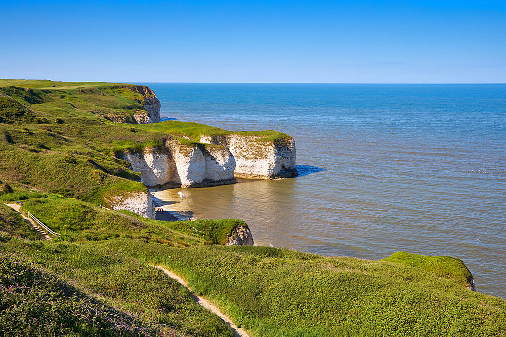 Flamborough Head, Yorkshire, England, United Kingdom, Europe