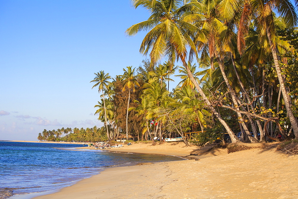 Beach at Las Terrenas, Samana Peninsula, Dominican Republic, West Indies, Caribbean, Central America