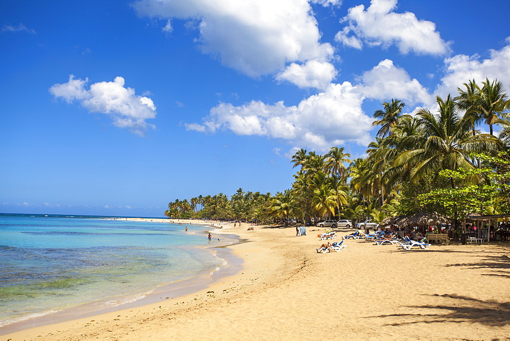 Beach at Las Terrenas, Samana Peninsula, Dominican Republic, West Indies, Caribbean, Central America