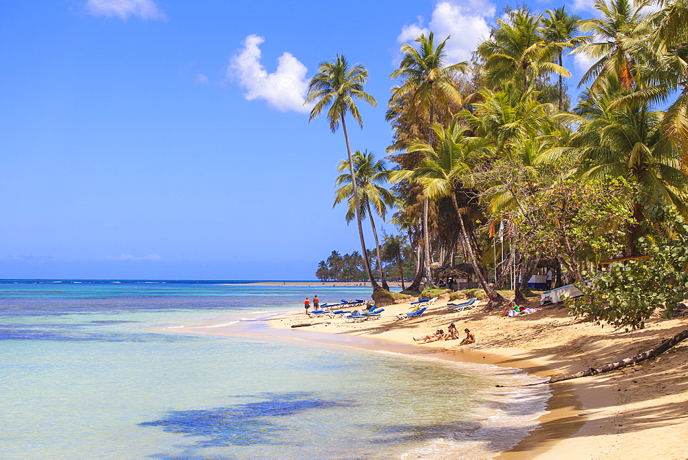 Beach at Las Terrenas, Samana Peninsula, Dominican Republic, West Indies, Caribbean, Central America