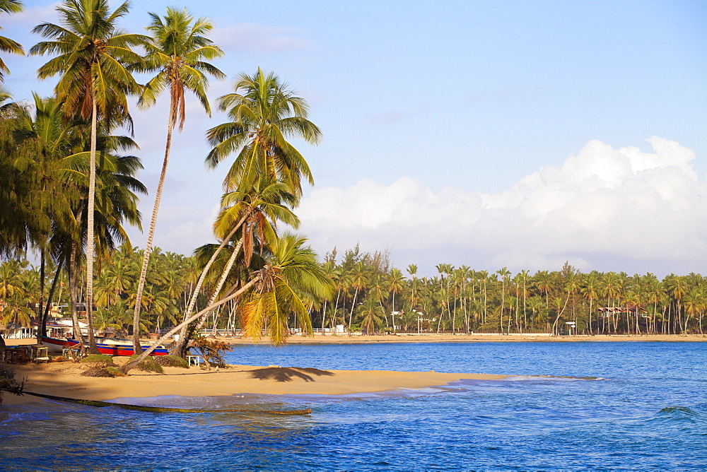 Beach at Las Terrenas, Samana Peninsula, Dominican Republic, West Indies, Caribbean, Central America