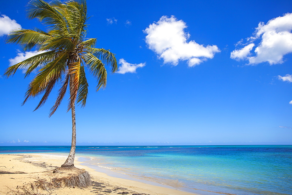 El Portillo Beach, Las Terrenas, Samana Peninsula, Dominican Republic, West Indies, Caribbean, Central America