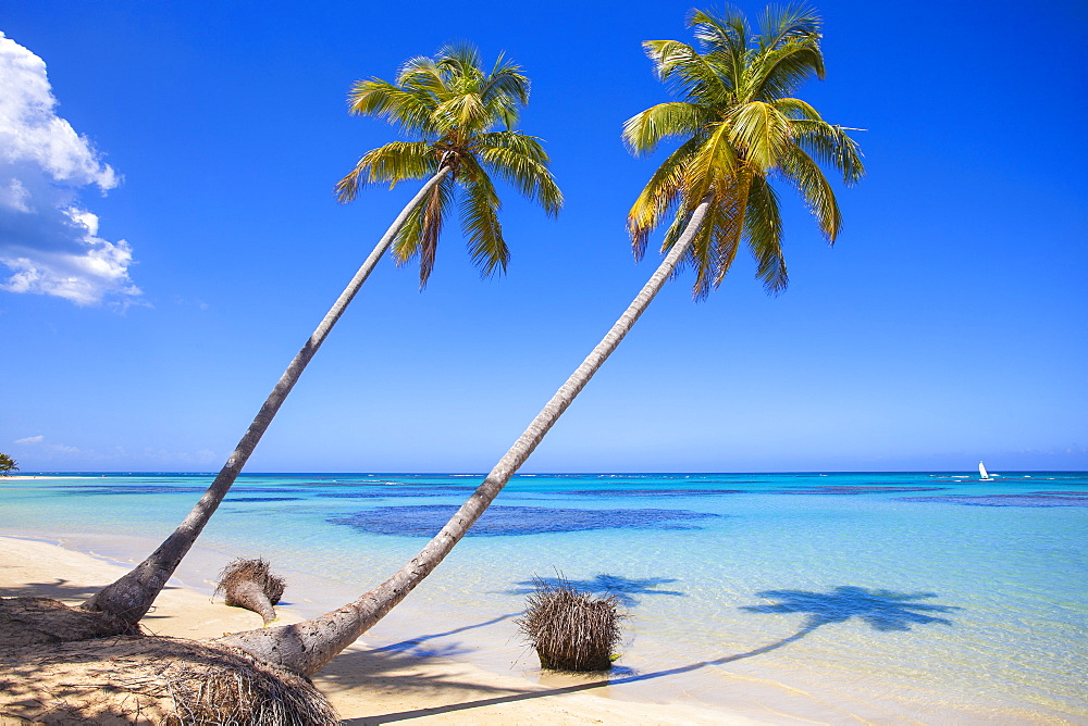 El Portillo Beach, Las Terrenas, Samana Peninsula, Dominican Republic, West Indies, Caribbean, Central America