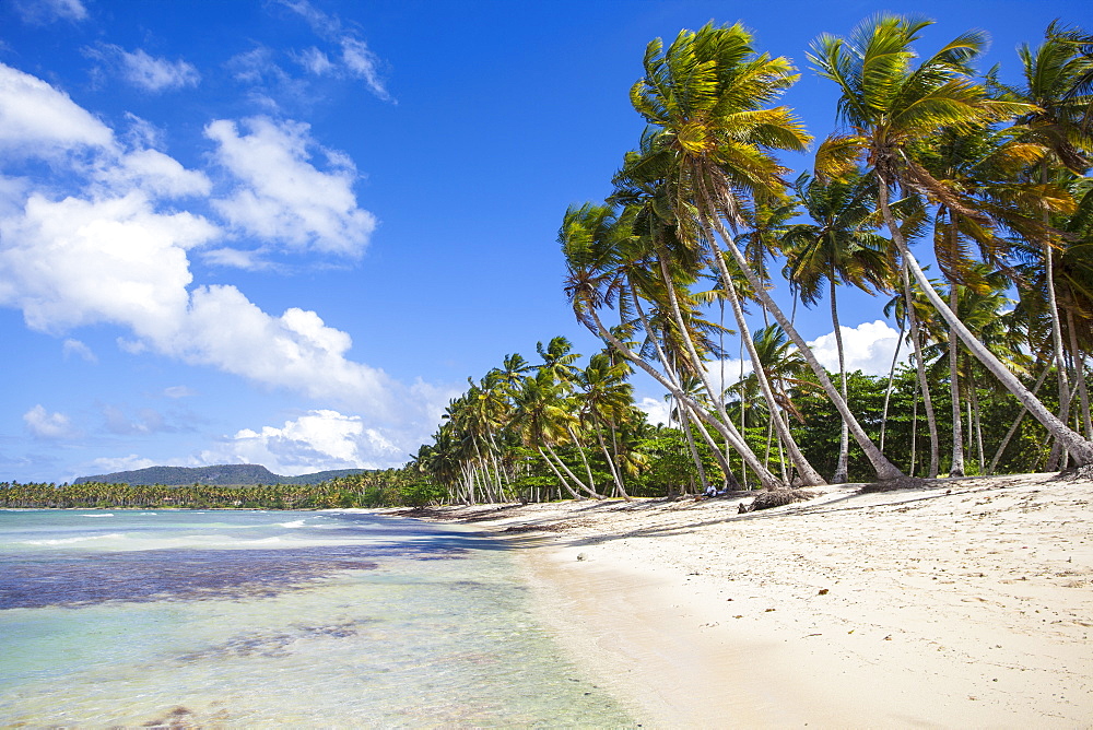 Playa Rincon, Samana Peninsula, Dominican Republic, West Indies, Caribbean, Central America