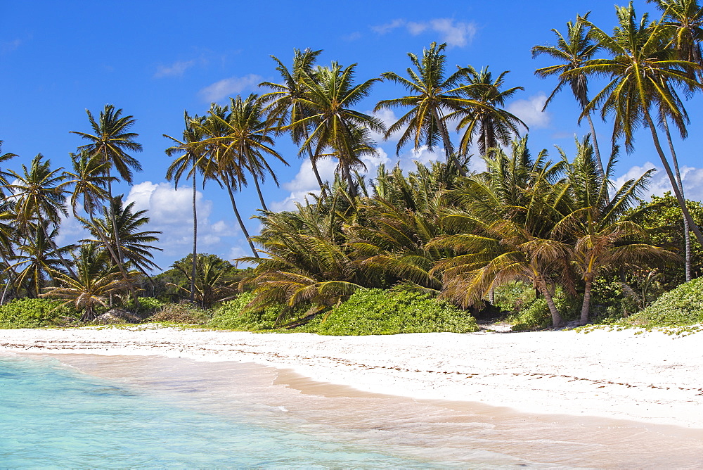 Playa Blanca, Punta Cana, Dominican Republic, West Indies, Caribbean, Central America