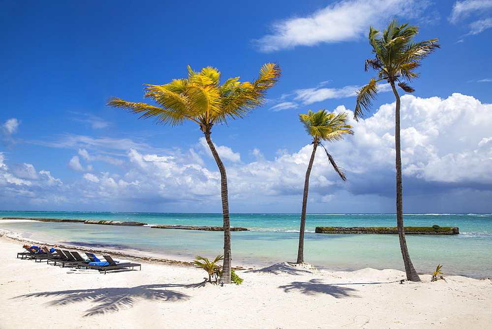 Beach at Also del Mar resort, Punta Cana, Dominican Republic, West Indies, Caribbean, Central America