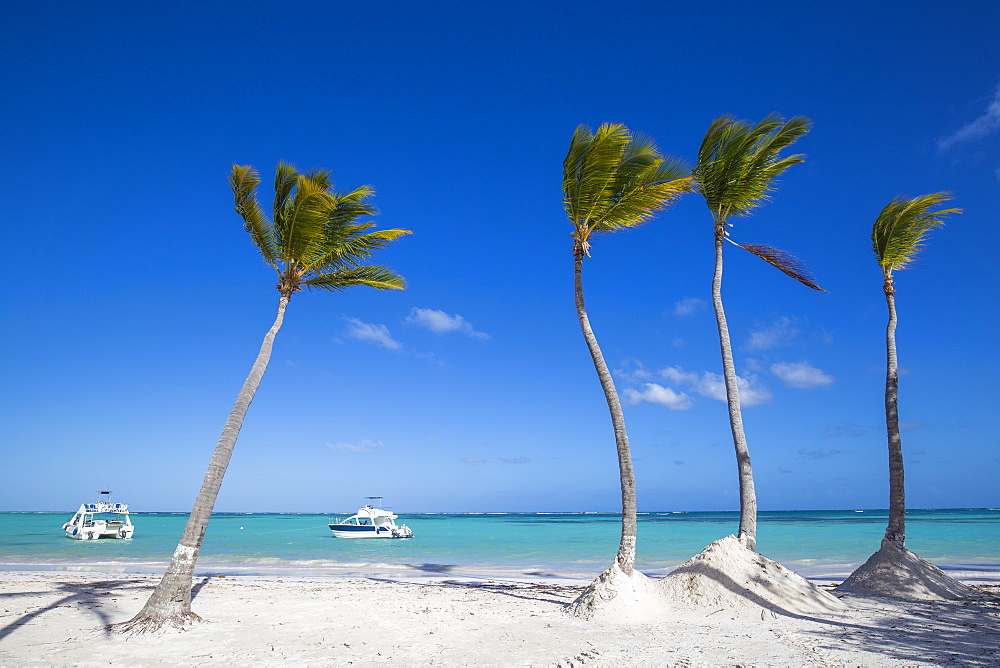 Juanillo Beach, Cap Cana, Punta Cana, Dominican Republic, West Indies, Caribbean, Central America