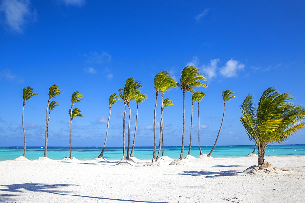 Juanillo Beach, Cap Cana, Punta Cana, Dominican Republic, West Indies, Caribbean, Central America