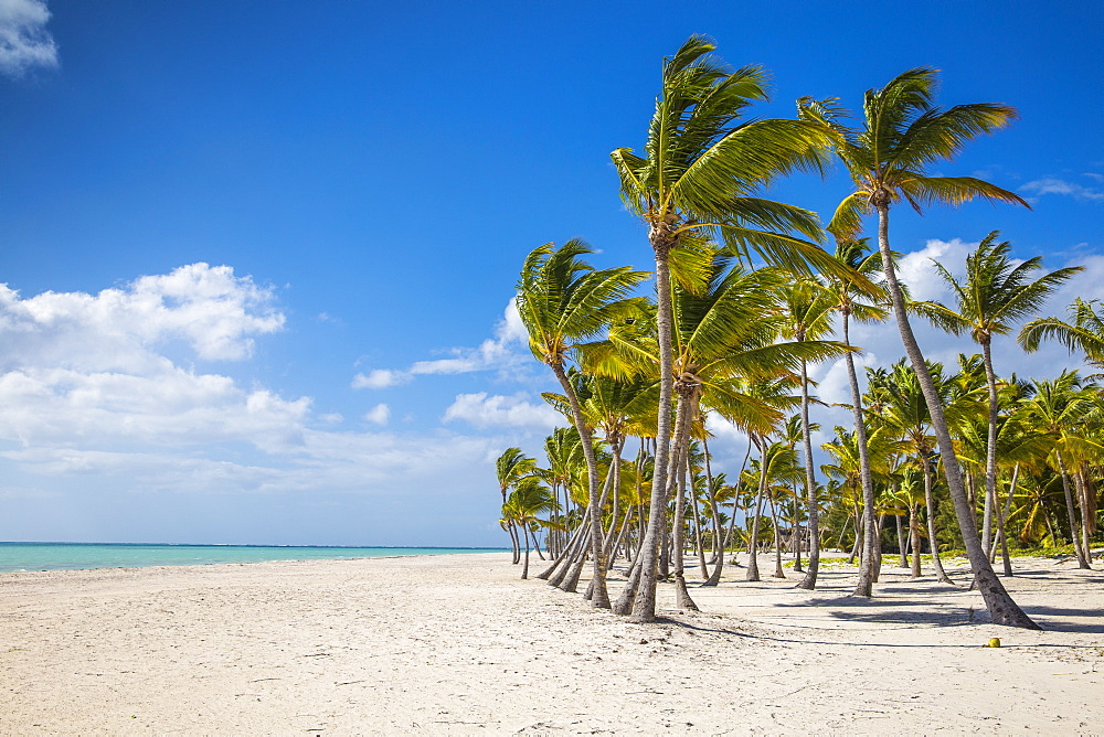 Juanillo Beach, Cap Cana, Punta Cana, Dominican Republic, West Indies, Caribbean, Central America