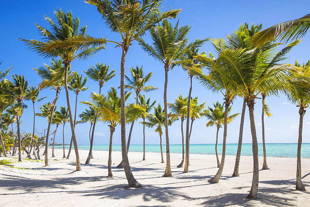 Juanillo Beach, Cap Cana, Punta Cana, Dominican Republic, West Indies, Caribbean, Central America