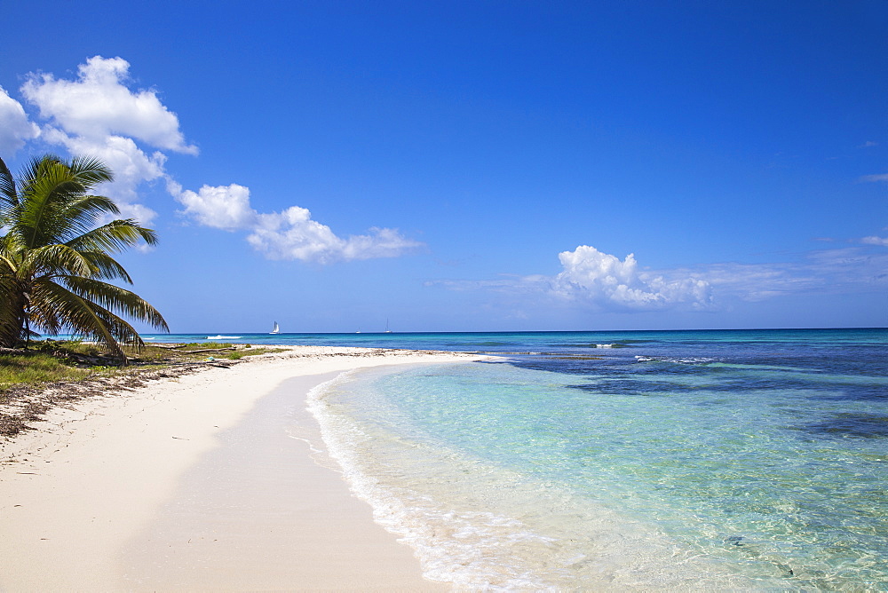 Catuano Beach, Saona Island, Parque Nacional del Este, Punta Cana, Dominican Republic, West Indies, Caribbean, Central America