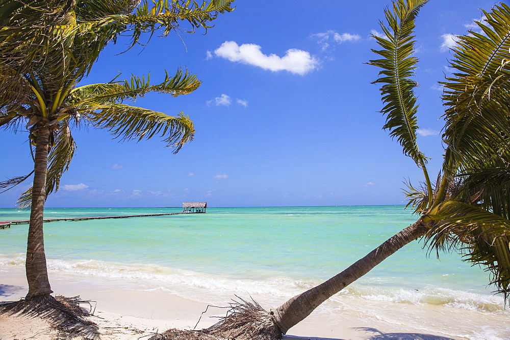 Playa El Paso, Cayo Guillermo, Jardines del Rey, Ciego de Avila Province, Cuba, West Indies, Caribbean, Central America