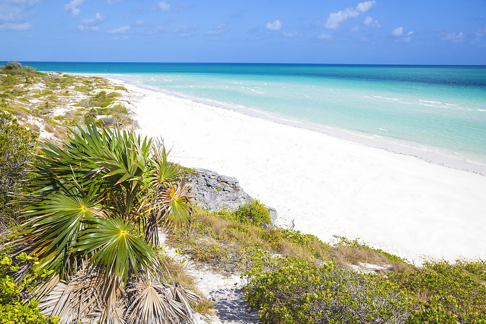 Sand dunes at Playa Pilar, Cayo Guillemo, Jardines del Rey, Ciego de Avila Province, Cuba, West Indies, Caribbean, Central America