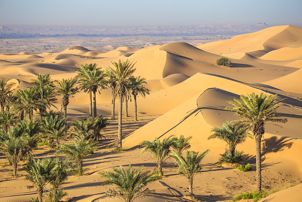 Remah Desert, Al Ain, Abu Dhabi, United Arab Emirates, Middle East