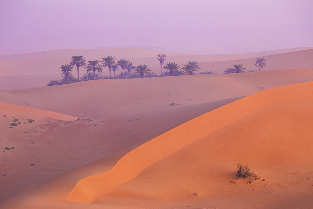 Remah Desert, Al Ain, Abu Dhabi, United Arab Emirates, Middle East