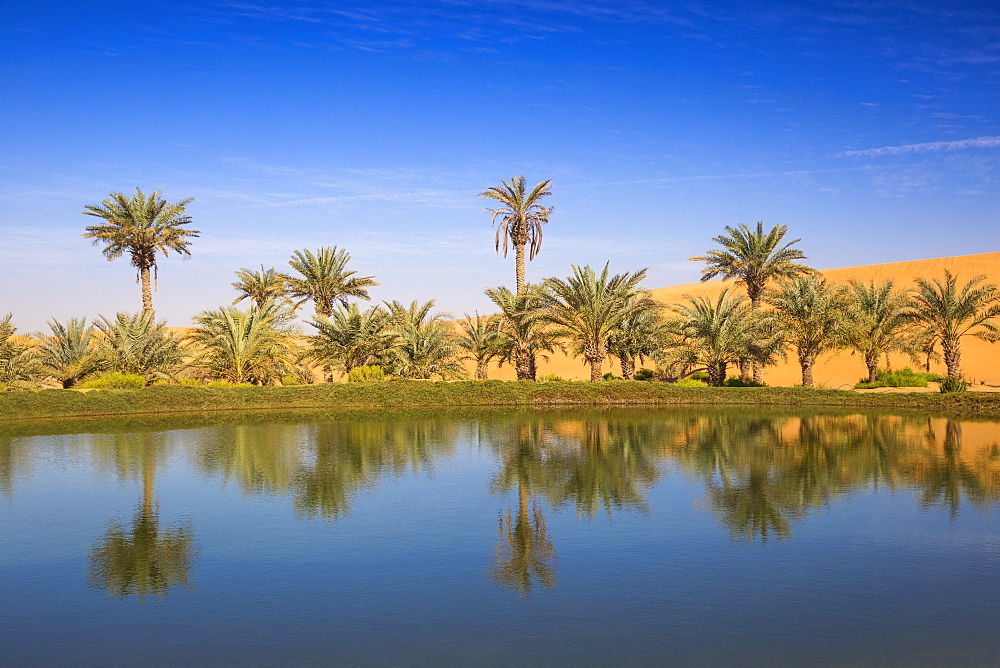 Remah Desert, Al Ain, Abu Dhabi, United Arab Emirates, Middle East