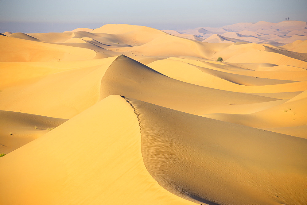 Remah Desert, Al Ain, Abu Dhabi, United Arab Emirates, Middle East