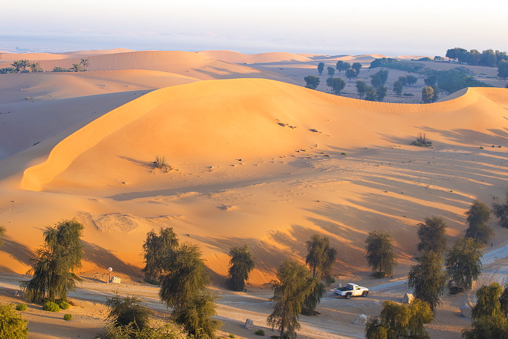 Remah Desert, Al Ain, Abu Dhabi, United Arab Emirates, Middle East