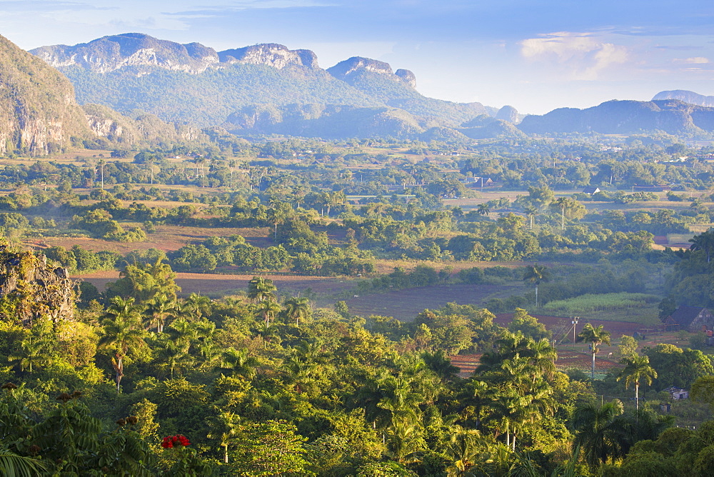 View of Vinales Valley, UNESCO World Heritage Site, Vinales, Pinar del Rio Province, Cuba, West Indies, Caribbean, Central America