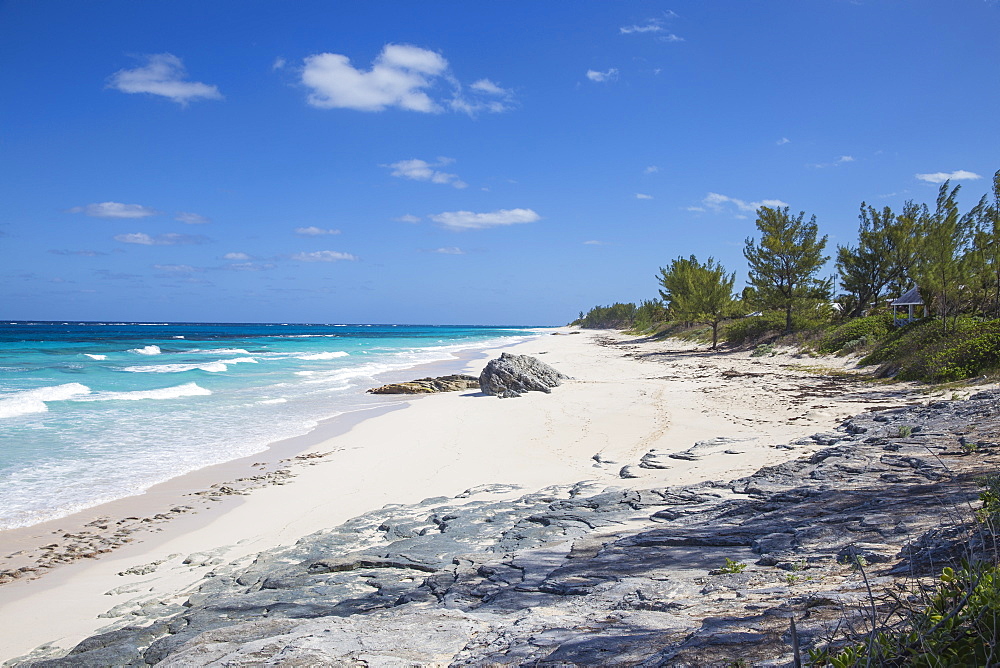 Beach near Nippers Bar, Great Guana Cay, Abaco Islands, Bahamas, West Indies, Central America