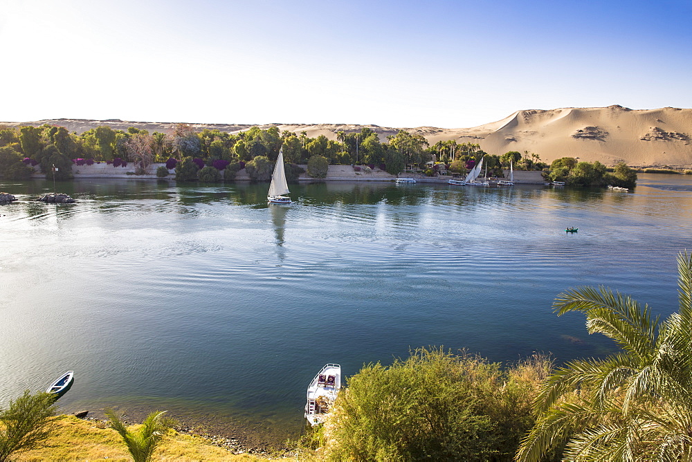 View of River Nile and the Botanical Gardens on Kitchener Island, Aswan, Upper Egypt, Egypt, North Africa, Africa