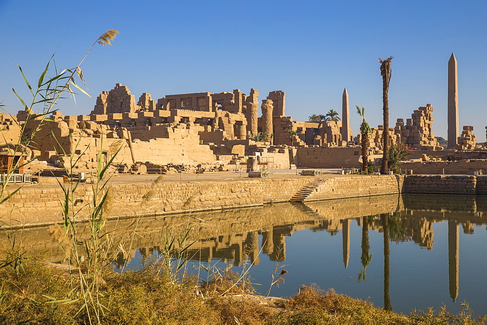 Sacred Lake, Karnak Temple, UNESCO World Heritage Site, near Luxor, Egypt, North Africa, Africa