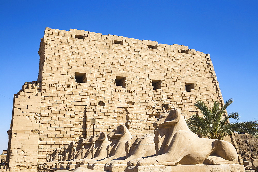 Avenue of Sphinxes, Luxor Temple, UNESCO World Heritage Site, Luxor, Egypt, North Africa, Africa