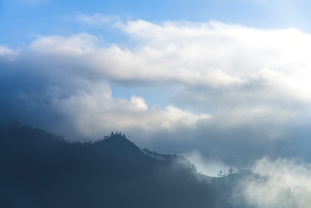 Haputale, above the clouds in the Sri Lanka Hill Country, Nuwara Eliya District, Sri Lanka, Asia