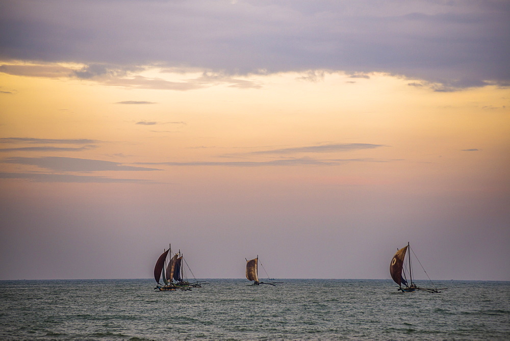 Negombo, traditional outrigger fishing boats (oruva) returning at sunrise to Negombo fishing market, Sri Lanka, Asia