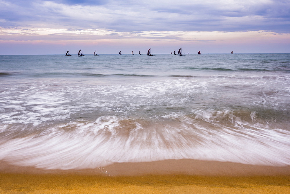 Negombo, traditional outrigger fishing boats (oruva) returning at sunrise to Negombo fishing market, Sri Lanka, Asia