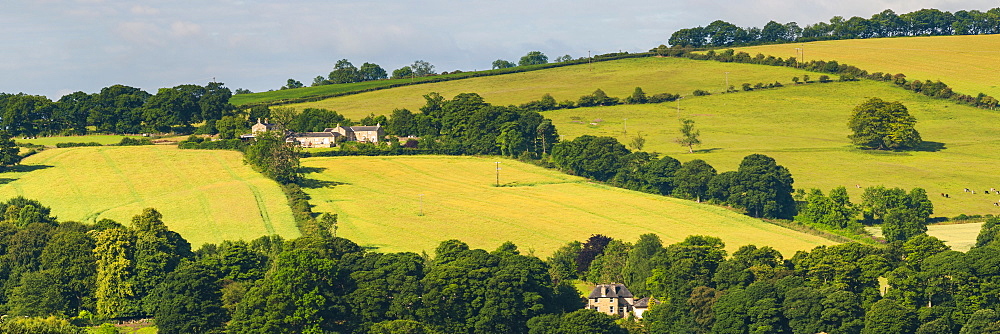 Northumberland National Park, near Hexham, Northumberland, England, United Kingdom, Europe