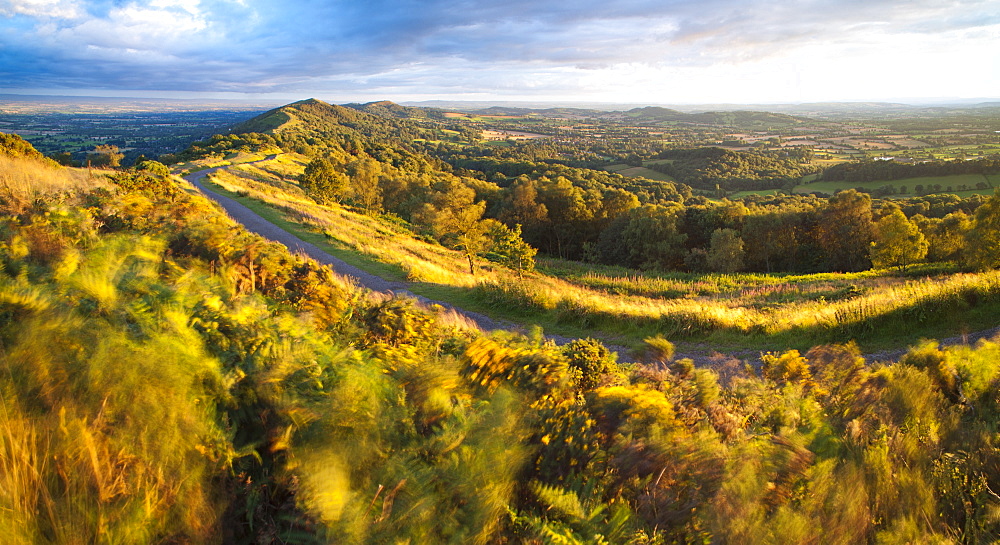 Malvern Hills, Worcestershire, England, United Kingdom, Europe