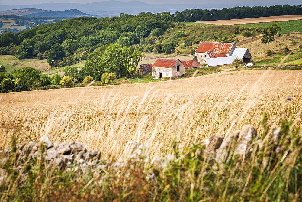 Farm in The Sudely Valley, Winchcombe, The Cotswolds, Gloucestershire, England, United Kingdom, Europe