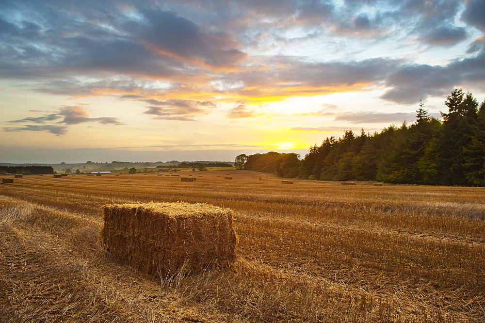 Hay bale at sunset, Broadway, The Cotswolds, Gloucestershire, England, United Kingdom, Europe 